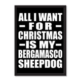 All I Want For Christmas Is My Bergamasco Sheepdog - Portrait Frame Photo Tile