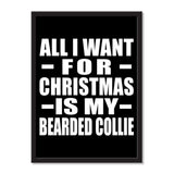 All I Want For Christmas Is My Bearded Collie - Portrait Frame Photo Tile