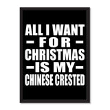 All I Want For Christmas Is My Chinese Crested - Portrait Frame Photo Tile
