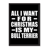 All I Want For Christmas Is My Bull Terrier - Portrait Frame Photo Tile