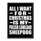 All I Want For Christmas Is My Polish Lowland Sheepdog - Portrait Frame Photo Tile