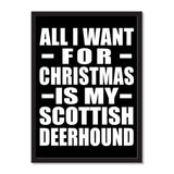 All I Want For Christmas Is My Scottish Deerhound - Portrait Frame Photo Tile