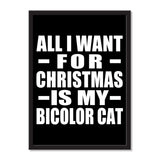 All I Want For Christmas Is My Bicolor Cat - Portrait Frame Photo Tile