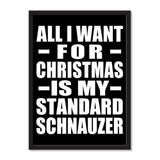 All I Want For Christmas Is My Standard Schnauzer - Portrait Frame Photo Tile