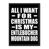 All I Want For Christmas Is My Entlebucher Mountain Dog - Portrait Frame Photo Tile