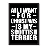 All I Want For Christmas Is My Scottish Terrier - Portrait Frame Photo Tile