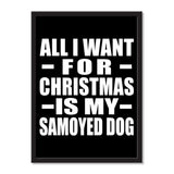 All I Want For Christmas Is My Samoyed Dog - Portrait Frame Photo Tile