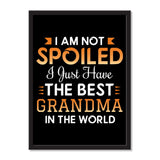I Am Not Spoiled I Just Have The Best Grandma In The World - Portrait Frame Photo Tile