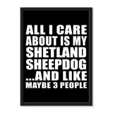 All I Care About Is My Shetland Sheepdog And Like Maybe 3 People - Portrait Frame Photo Tile