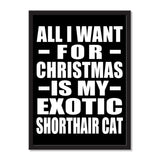 All I Want For Christmas Is My Exotic Shorthair Cat - Portrait Frame Photo Tile
