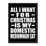 All I Want For Christmas Is My Domestic Mediumhair Cat - Portrait Frame Photo Tile