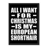 All I Want For Christmas Is My European Shorthair - Portrait Frame Photo Tile
