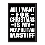 All I Want For Christmas Is My Neapolitan Mastiff - Portrait Frame Photo Tile