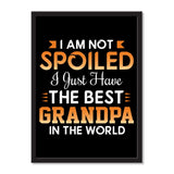 I Am Not Spoiled I Just Have The Best Grandpa In The World - Portrait Frame Photo Tile