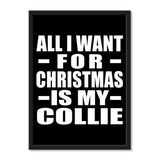 All I Want For Christmas Is My Collie - Portrait Frame Photo Tile
