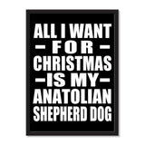 All I Want For Christmas Is My Anatolian Shepherd Dog - Portrait Frame Photo Tile