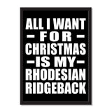 All I Want For Christmas Is My Rhodesian Ridgeback - Portrait Frame Photo Tile
