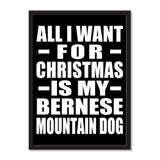 All I Want For Christmas Is My Bernese Mountain Dog - Portrait Frame Photo Tile