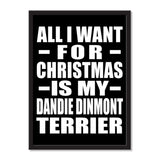 All I Want For Christmas Is My Dandie Dinmont Terrier - Portrait Frame Photo Tile
