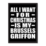 All I Want For Christmas Is My Brussels Griffon - Portrait Frame Photo Tile