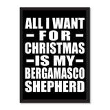 All I Want For Christmas Is My Bergamasco Shepherd - Portrait Frame Photo Tile