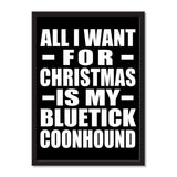 All I Want For Christmas Is My Bluetick Coonhound - Portrait Frame Photo Tile