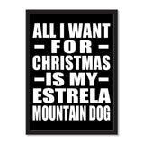 All I Want For Christmas Is My Estrela Mountain Dog - Portrait Frame Photo Tile