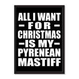 All I Want For Christmas Is My Pyrenean Mastiff - Portrait Frame Photo Tile