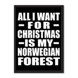 All I Want For Christmas Is My Norwegian Forest - Portrait Frame Photo Tile