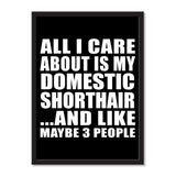 All I Care About Is My Domestic Shorthair And Like Maybe 3 People - Portrait Frame Photo Tile