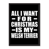 All I Want For Christmas Is My Welsh Terrier - Portrait Frame Photo Tile