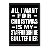 All I Want For Christmas Is My Staffordshire Bull Terrier - Portrait Frame Photo Tile