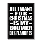 All I Want For Christmas Is My Bouvier Des Flandres - Portrait Frame Photo Tile