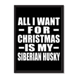 All I Want For Christmas Is My Siberian Husky - Portrait Frame Photo Tile