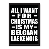 All I Want For Christmas Is My Belgian Laekenois - Portrait Frame Photo Tile
