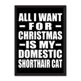All I Want For Christmas Is My Domestic Shorthair Cat - Portrait Frame Photo Tile