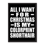 All I Want For Christmas Is My Colorprint Shorthair - Portrait Frame Photo Tile