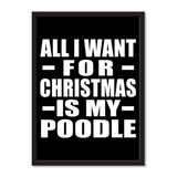 All I Want For Christmas Is My Poodle - Portrait Frame Photo Tile