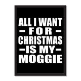 All I Want For Christmas Is My Moggie - Portrait Frame Photo Tile
