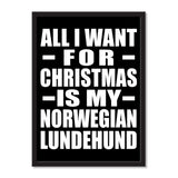 All I Want For Christmas Is My Norwegian Lundehund - Portrait Frame Photo Tile