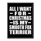 All I Want For Christmas Is My Smooth Fox Terrier - Portrait Frame Photo Tile