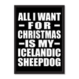 All I Want For Christmas Is My Icelandic Sheepdog - Portrait Frame Photo Tile