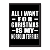 All I Want For Christmas Is My Norfolk Terrier - Portrait Frame Photo Tile