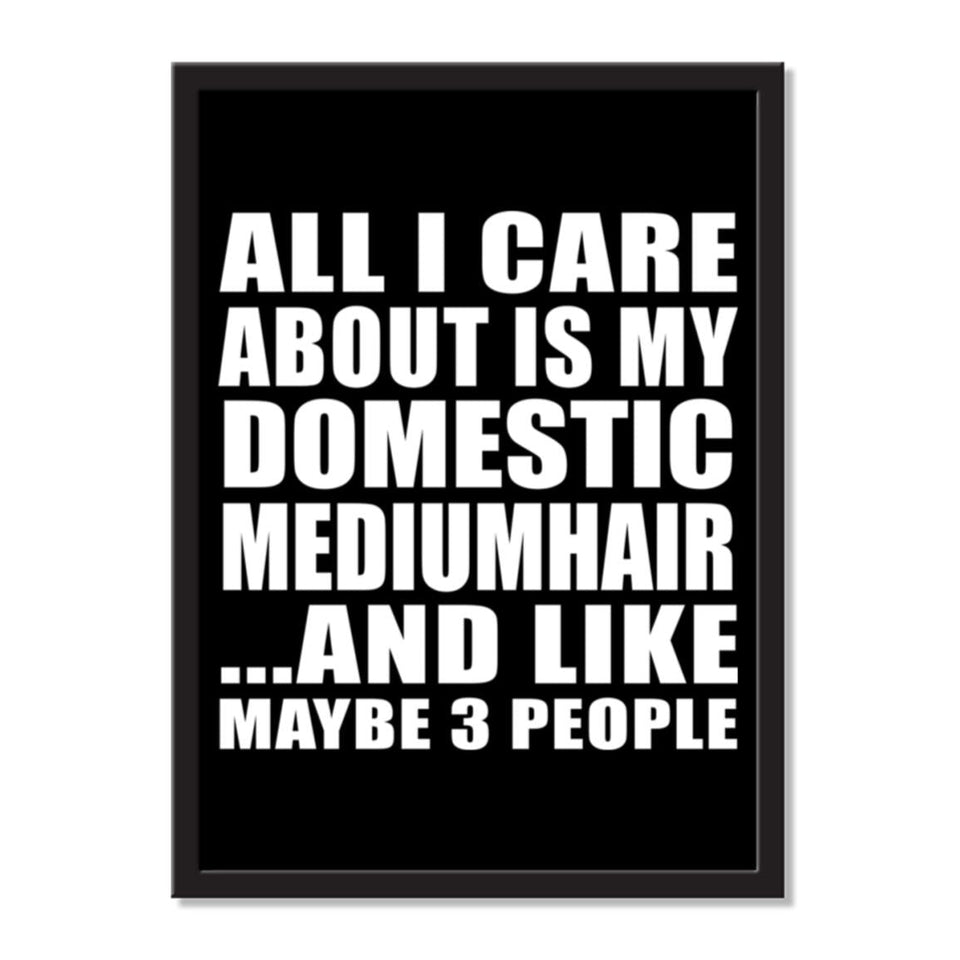 All I Care About Is My Domestic Mediumhair And Like Maybe 3 People - Portrait Frame Photo Tile