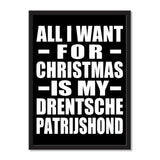 All I Want For Christmas Is My Drentsche Patrijshond - Portrait Frame Photo Tile