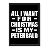 All I Want For Christmas Is My Peterbald - Portrait Frame Photo Tile
