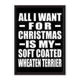 All I Want For Christmas Is My Soft Coated Wheaten Terrier - Portrait Frame Photo Tile