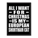 All I Want For Christmas Is My European Shorthair Cat - Portrait Frame Photo Tile