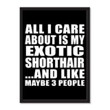 All I Care About Is My Exotic Shorthair And Like Maybe 3 People - Portrait Frame Photo Tile