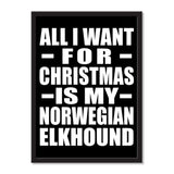 All I Want For Christmas Is My Norwegian Elkhound - Portrait Frame Photo Tile